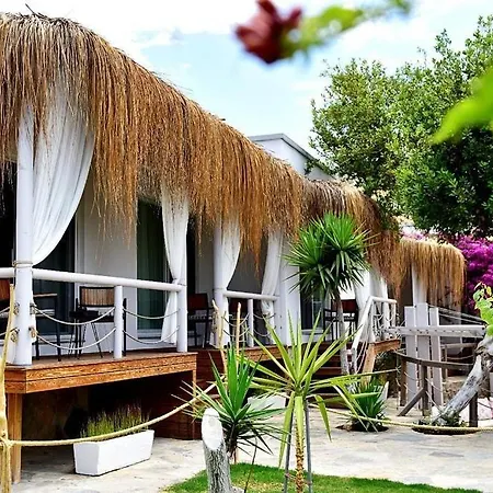 Moon Beach&hotel ホテル *